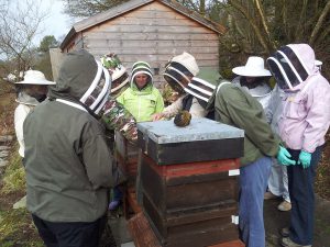 Interested in Beekeeping?